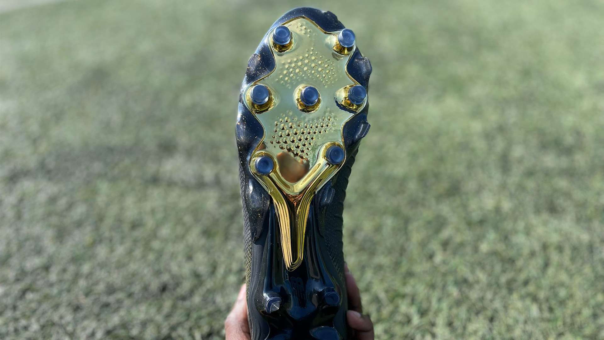 忠诚和对比 忠诚和对比